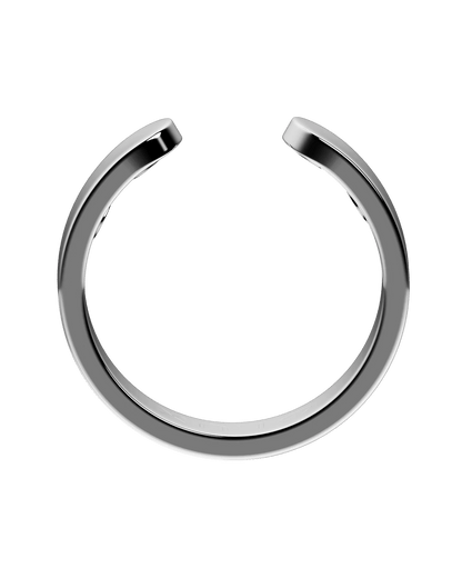 Anello Magnozen