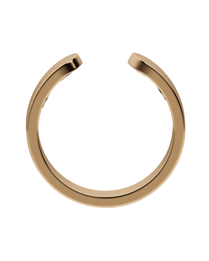 Anello Magnozen
